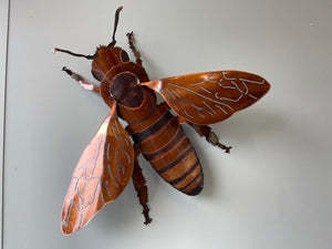 Copper Honey Bee