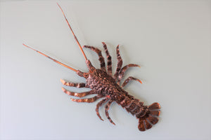 Copper Crayfish Large Wall Art