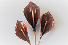 Load image into Gallery viewer, Copper Lilies Set of 3 Wall Art
