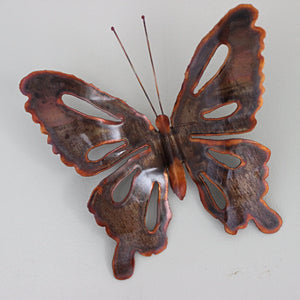 Copper butterfly with orange