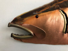 Load image into Gallery viewer, Copper Large Trout