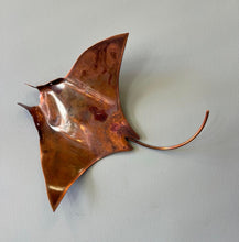 Load image into Gallery viewer, Copper Small Manta Wall Art