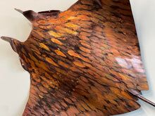 Load image into Gallery viewer, Copper Large Manta Wall art